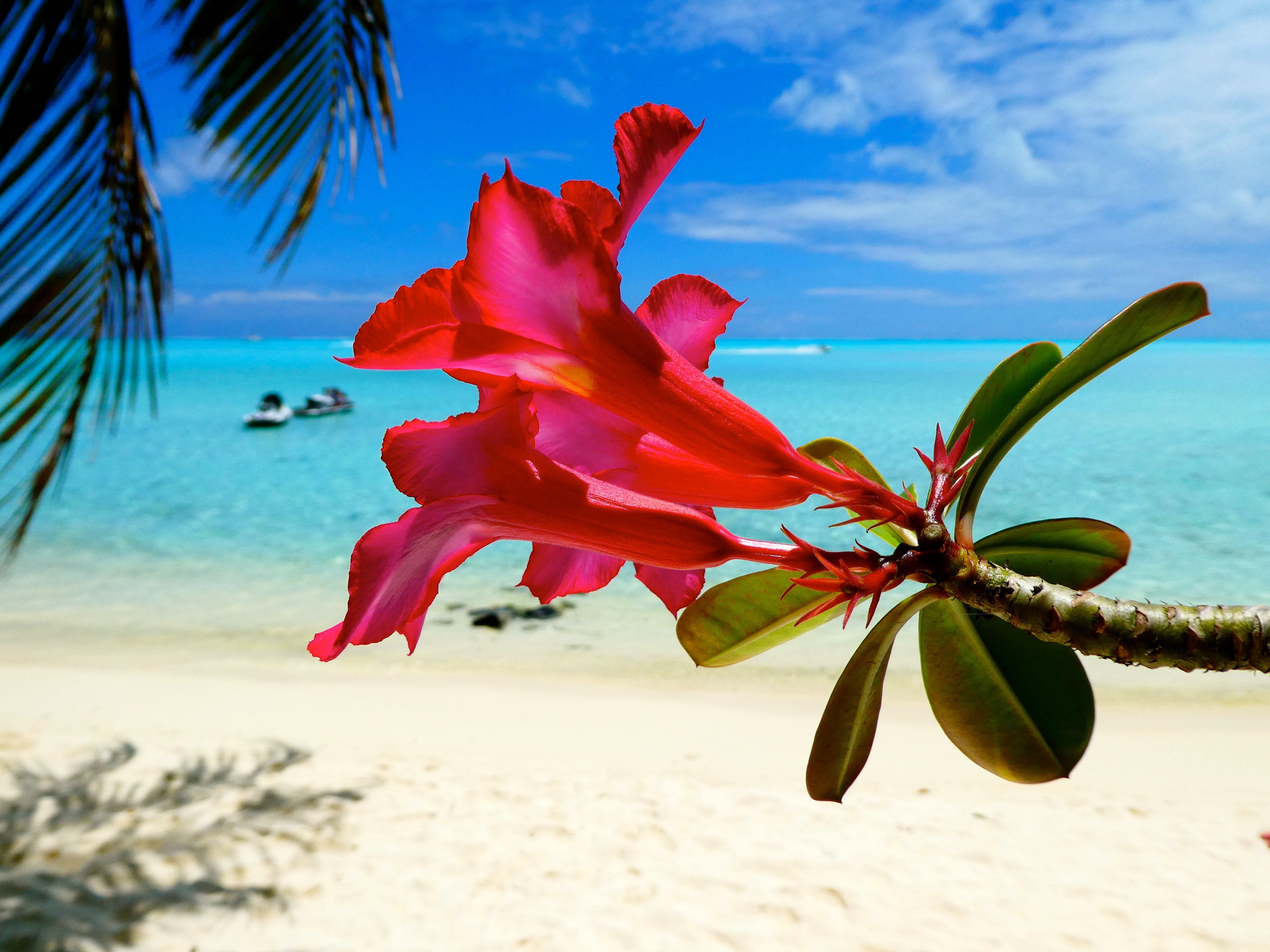Plage de Matira - Bora Bora