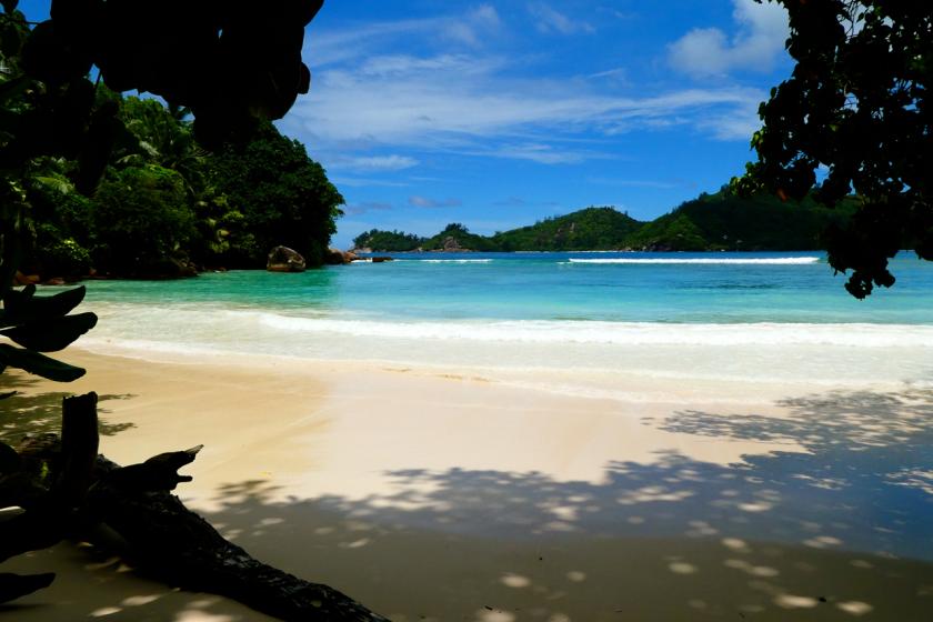 Anse la mouche Mahé