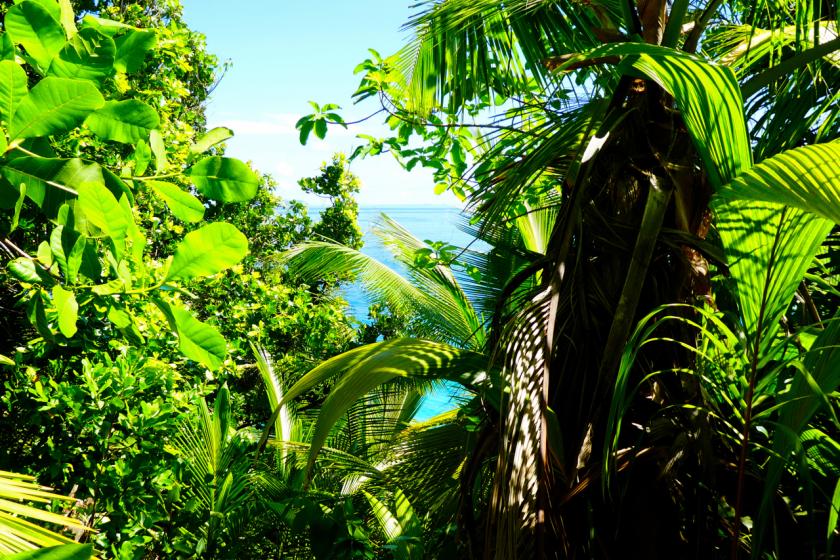 anse coco la digue