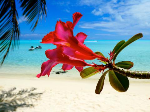 Plage de Matira - Bora Bora